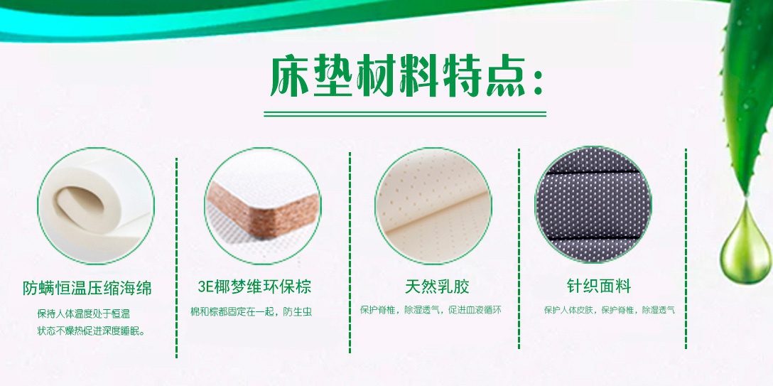 Q123雲妮_03.jpg