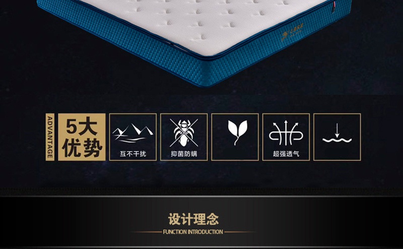 Q106藍夢七號_02.jpg