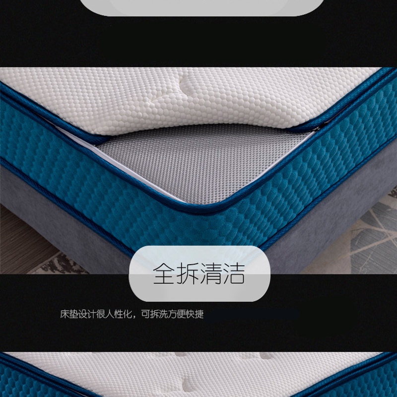 Q106藍夢七號_06.jpg