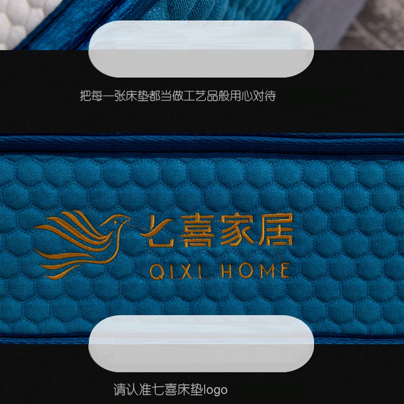 Q106藍夢七號_08.jpg