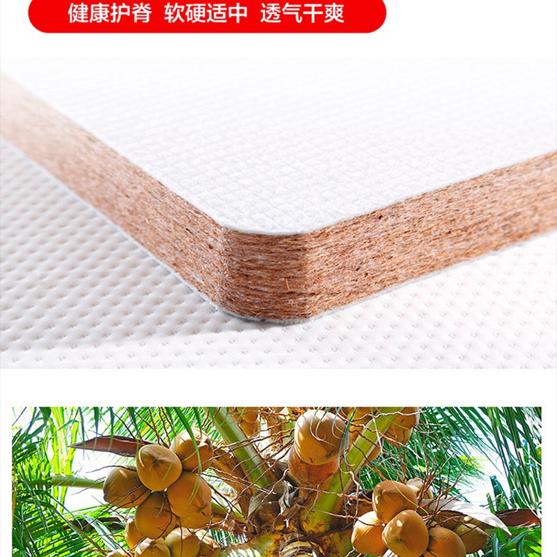 Q106藍夢七號_14.jpg