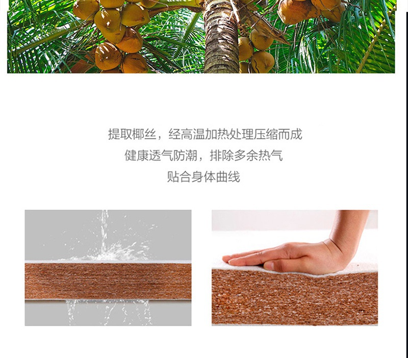 Q106藍夢七號_15.jpg